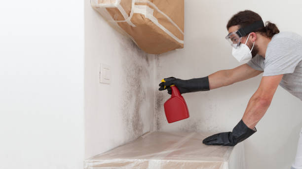 Professional Attic Mold Remediation technician working in Newton Upper Falls, MA