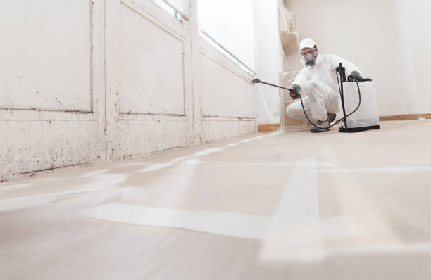 24/7 Emergency Attic Mold Remediation experts in Newton Upper Falls, MA